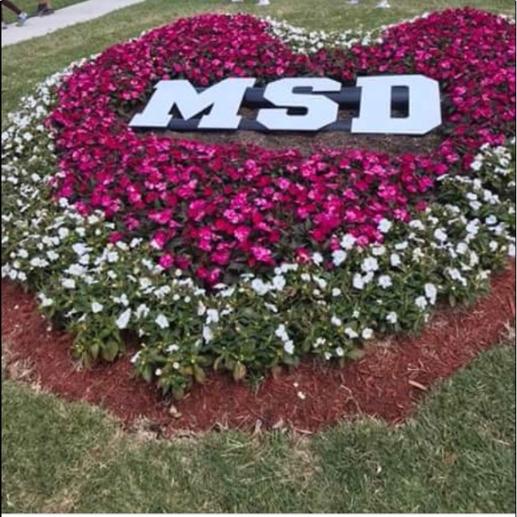 Meet your Posher, Leisa - Picture 4 of 9